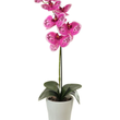 Load image into Gallery viewer, ORCHID PHALAENOPSIS LARGE SINGLE STEM MIXED