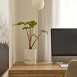 Load image into Gallery viewer, KELLY PLANTER WHITE W/S