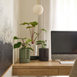 Load image into Gallery viewer, KELLY PLANTER BLACK W/S