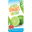 Load image into Gallery viewer, CITRUS DWARF LIME TAHITIAN 5L/20CM