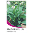 Load image into Gallery viewer, SPATHIPHYLLUM PREMIUM