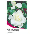 Load image into Gallery viewer, GARDENIA FLORIDA BUSH