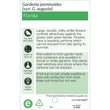 Load image into Gallery viewer, GARDENIA FLORIDA BUSH