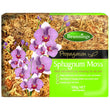 Load image into Gallery viewer, SPHAGNUM MOSS