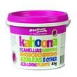 Load image into Gallery viewer, KAHOONA