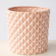 Load image into Gallery viewer, PLANTER PINEAPPLE PINK