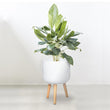 Load image into Gallery viewer, KEYSTONE MERCURY TRIPOD WHITE