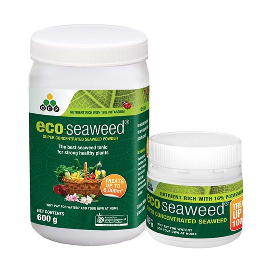 ECO SEAWEED CONCENTRATE