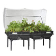 Load image into Gallery viewer, VEGEPOD WITH COVER LARGE (APPROX 22 BAGS POTTING MIX)