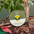 Load image into Gallery viewer, WE THE WILD SUPPORT FERTILISER PELLETS 250G