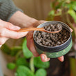 Load image into Gallery viewer, WE THE WILD SUPPORT FERTILISER PELLETS 250G
