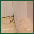 Load image into Gallery viewer, WET & FORGET INDOOR RTU 2L