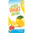 Load image into Gallery viewer, CITRUS DWARF LEMON MEYER 5L/20CM