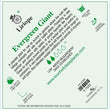 Load image into Gallery viewer, LIRIOPE EVERGREEN GIANT