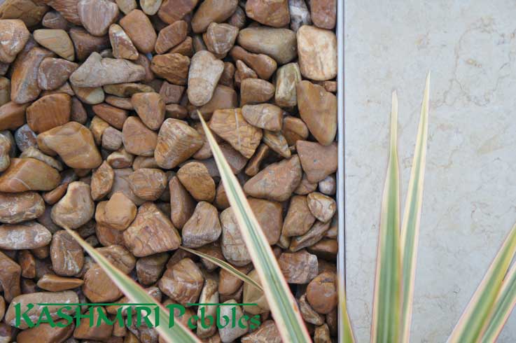 PEBBLES KASHMIRI POLISHED WOODGRAIN 20-30MM [CLR:20KG]