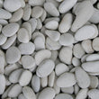 Load image into Gallery viewer, PEBBLES KASHMIRI NATURAL IVORY 10-20MM [CLR:20KG]
