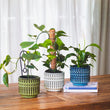 Load image into Gallery viewer, FELIX PLANTER WHITE [SZ:2/3 (24X21CM)]
