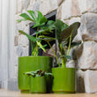 Load image into Gallery viewer, FARAH PLANTER GREEN [SZ:1/3 (18X17CM)]
