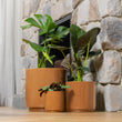 Load image into Gallery viewer, FARAH PLANTER TERRACOTTA [SZ:3/3 (40X37CM)]
