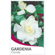 Load image into Gallery viewer, GARDENIA FLORIDA STD [SZ:40CM POT]
