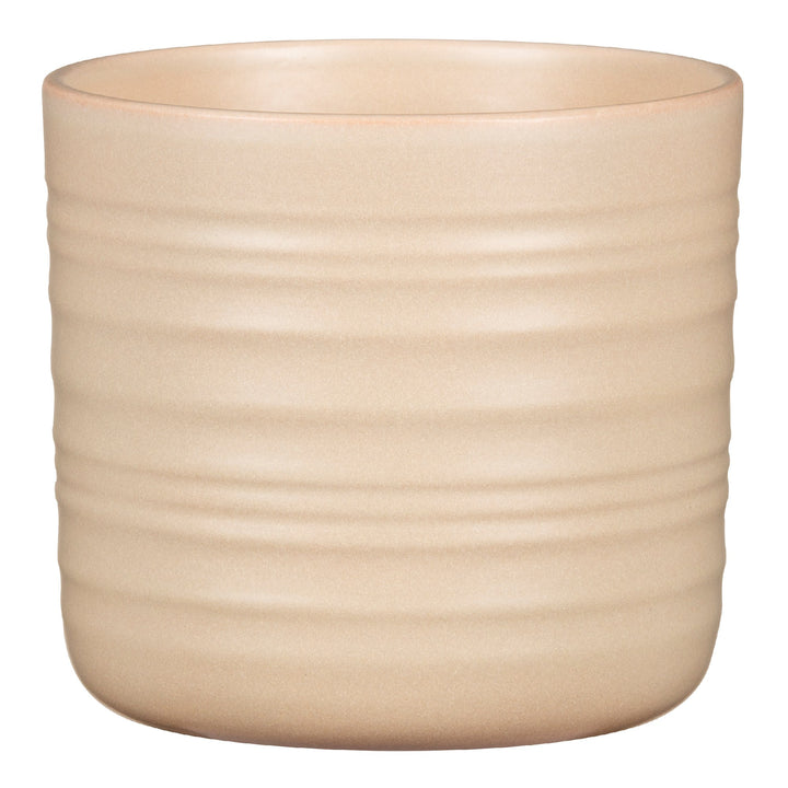 SRICH COTTAGE PLANTER DRY REED 17CM 