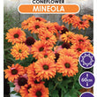 Load image into Gallery viewer, ECHINACEA MINEOLA SUNSEEKERS [SZ:14CM POT]
