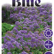 Load image into Gallery viewer, LIMONIUM PEREZII BLUE [SZ:14CM POT]
