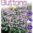 Load image into Gallery viewer, THYMUS PINK BUTTONS [SZ:14CM POT]
