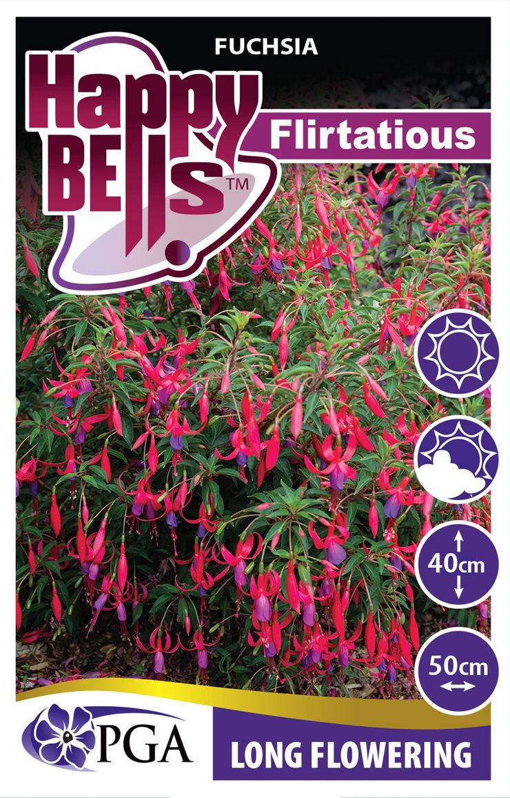 FUCHSIA HAPPY BELLS FLIRTATIOUS [SZ:14CM POT]