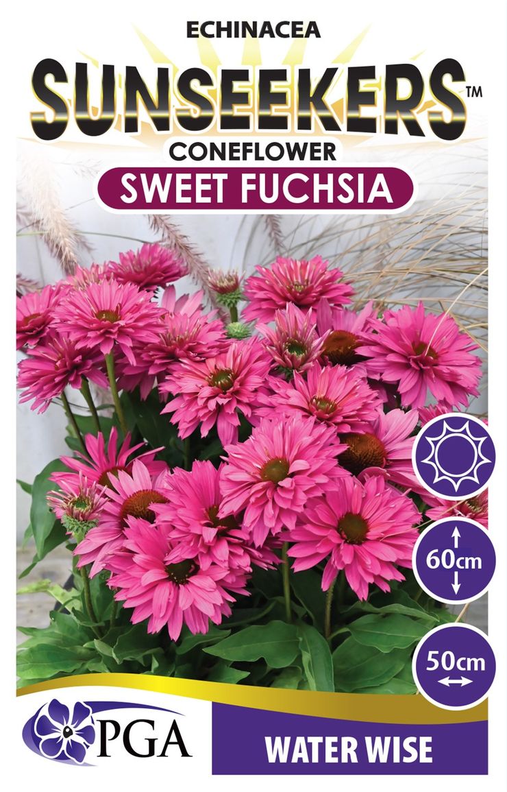 ECHINACEA SWEET FUCHSIA SUNSEEKERS [SZ:14CM POT]