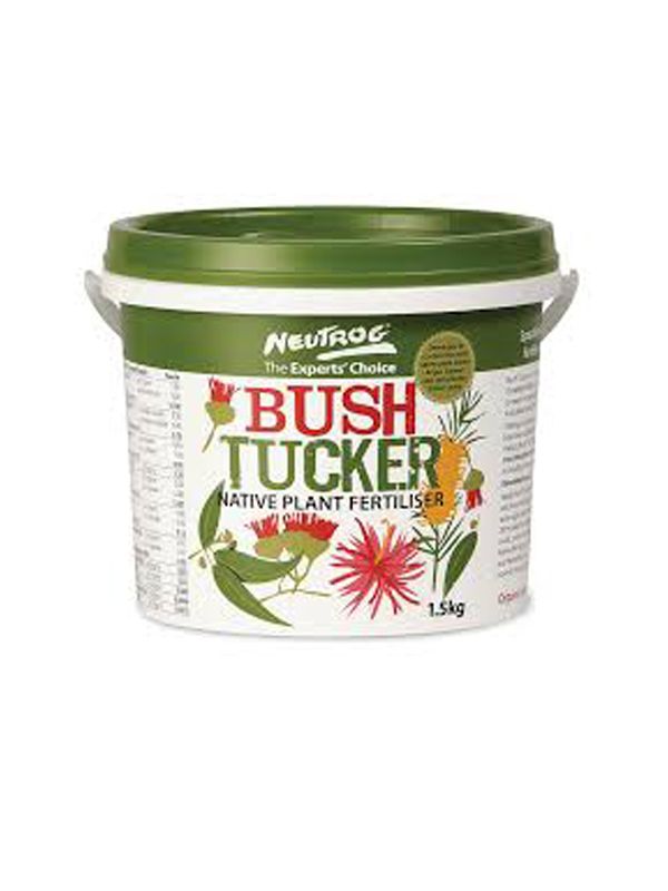 BUSH TUCKER [SZ:1.5KG]