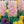 Load image into Gallery viewer, BULB HYACINTH LADY DERBY PK2 [SZ:2 PK]
