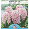 Load image into Gallery viewer, BULB HYACINTH LADY DERBY PK2 [SZ:2 PK]
