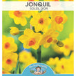 Load image into Gallery viewer, BULB JONQUIL SOLEIL D&#39;OR  PK5 [SZ:5 PK]
