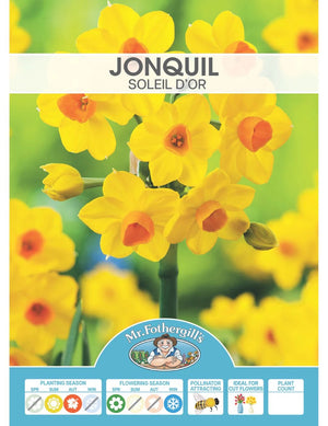 BULB JONQUIL SOLEIL D'OR  PK5 [SZ:5 PK]