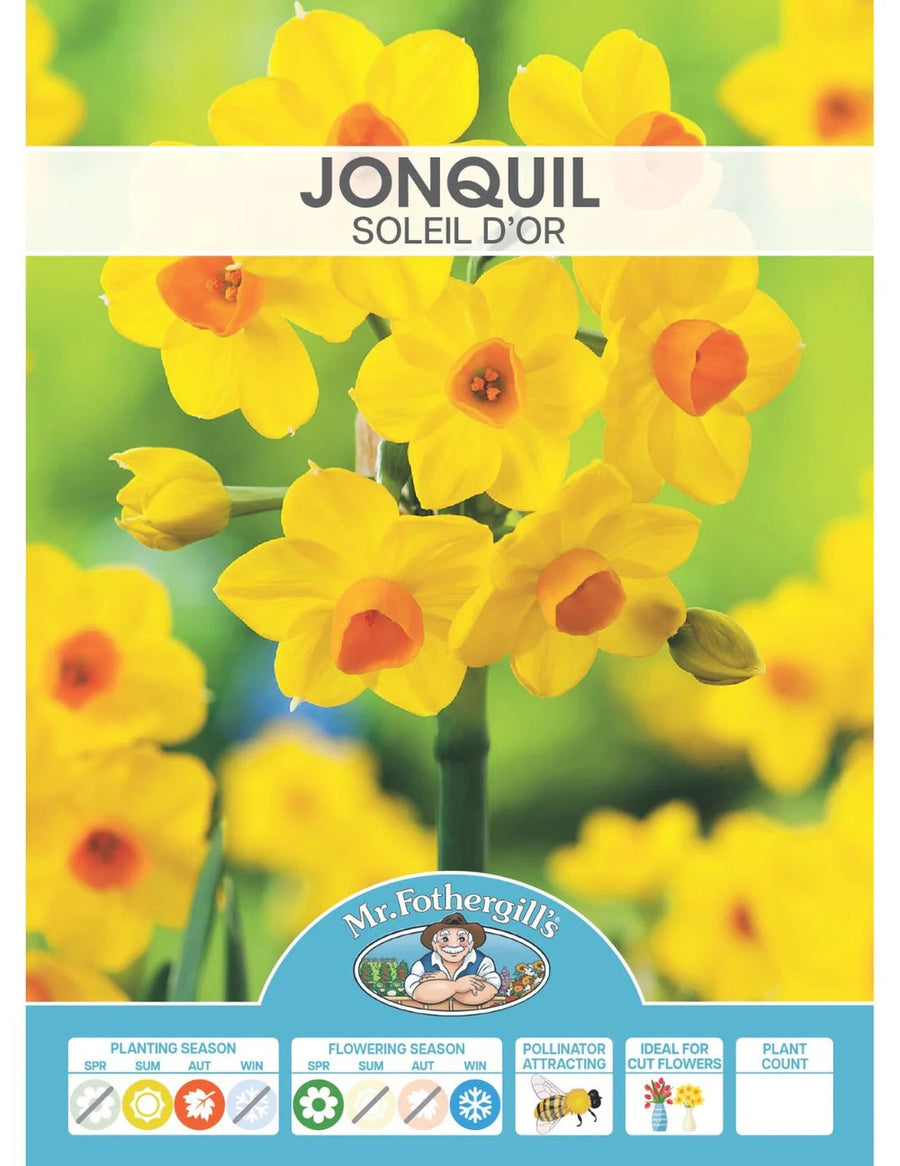 BULB JONQUIL SOLEIL D'OR  PK5 [SZ:5 PK]