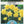 Load image into Gallery viewer, BULB DAFFODIL DICK WILDEN [SZ:3PK]
