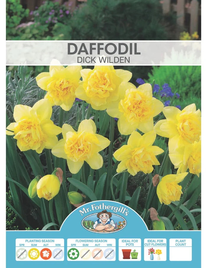 BULB DAFFODIL DICK WILDEN [SZ:3PK]