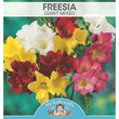 Load image into Gallery viewer, BULB FREESIA GIANT MIX PK 12 [SZ:12 PK]
