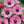 Load image into Gallery viewer, BULB ANEMONE PRETTY PINK DE CAEN [SZ:PK 20]
