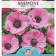 Load image into Gallery viewer, BULB ANEMONE PRETTY PINK DE CAEN [SZ:PK 20]
