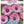 Load image into Gallery viewer, BULB ANEMONE PRETTY PINK DE CAEN [SZ:PK 20]
