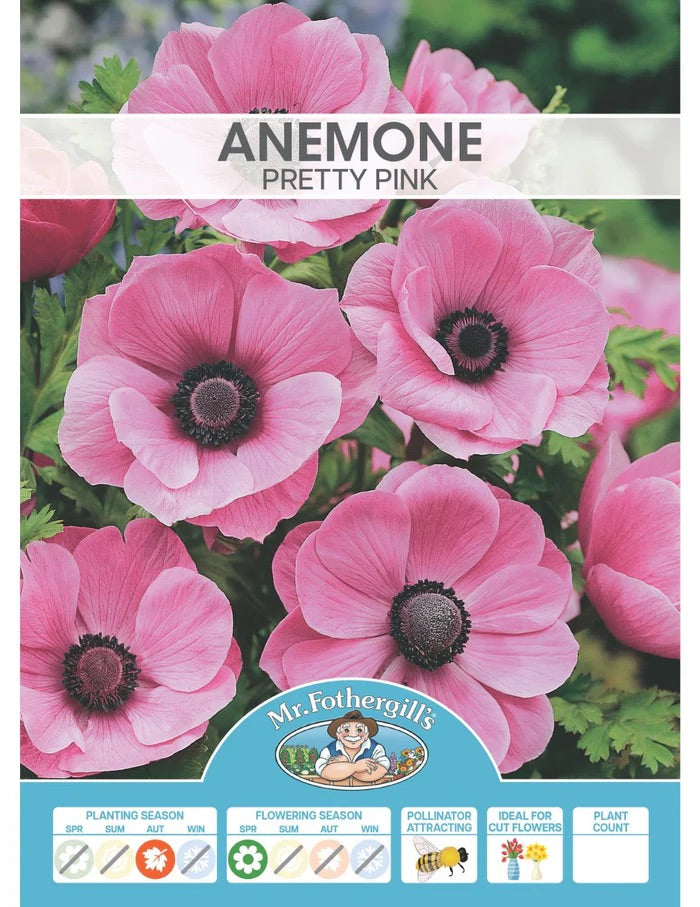 BULB ANEMONE PRETTY PINK DE CAEN [SZ:PK 20]