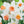 Load image into Gallery viewer, BULB DAFFODIL ACCENT [SZ:3PK]
