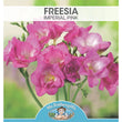 Load image into Gallery viewer, BULB FREESIA IMPERIAL PINK [SZ:8 PK]

