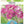 Load image into Gallery viewer, BULB FREESIA IMPERIAL PINK [SZ:8 PK]
