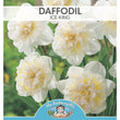 Load image into Gallery viewer, BULB DAFFODIL GABRIEL KLEIBERG [SZ:3 PK]
