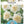 Load image into Gallery viewer, BULB DAFFODIL GABRIEL KLEIBERG [SZ:3 PK]
