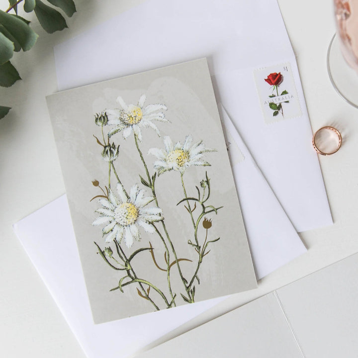 CARD THE WHITE COLLECTION FLANNEL FLOWER 11.5CM X 16CM