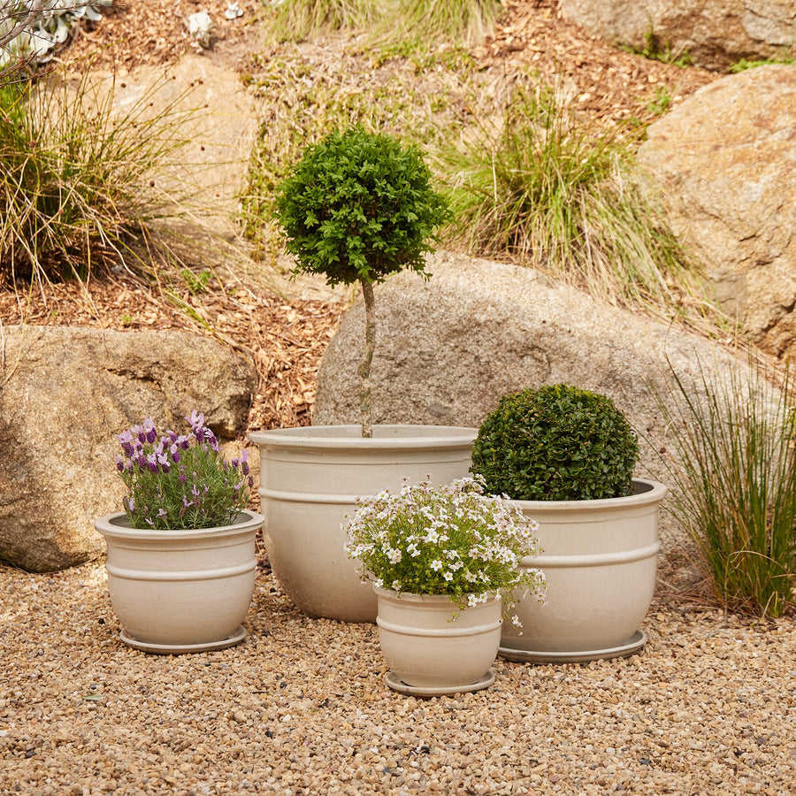 cream garden plant pots PRIMO BELLY POT CREAM – Honeysuckle Garden